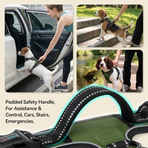 PHOEPET No Pull Dog Harness