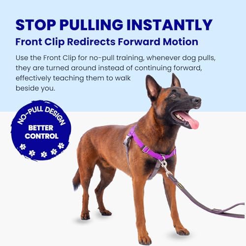 Freedom No Pull Dog Harness
