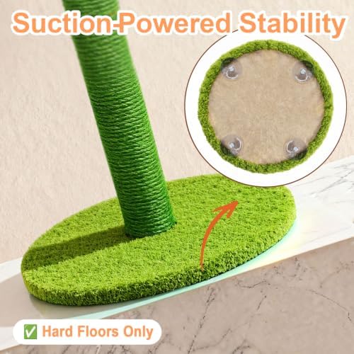 Sunflower Interactive Cat Toys for Indoor Cats, Cute Cat Scratch Post