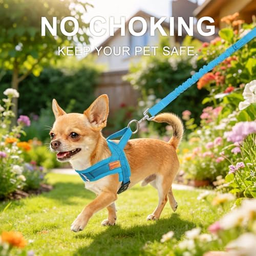 BEAUTYZOO Dog Harness Medium Sized and Leash Set, No Pull Step in Pet Vest
