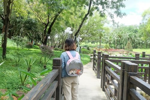 Small Animal Carrier Guinea Pig Backpack, Transparent, Breathable Backpack