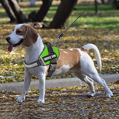 JSXD Dog Harness, No-Pull Service Dog Harness