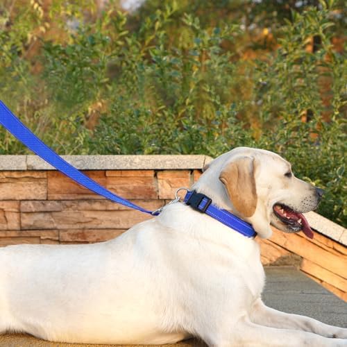 6 FT Basic Dog Leash for Small Dogs, Padded Handle