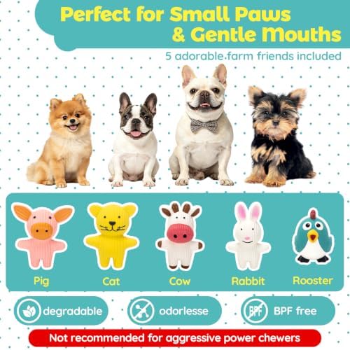 LECHONG 5 Pack Latex Dog Toys for Small Dogs – Squeaky Squeeze Toys, Puppy