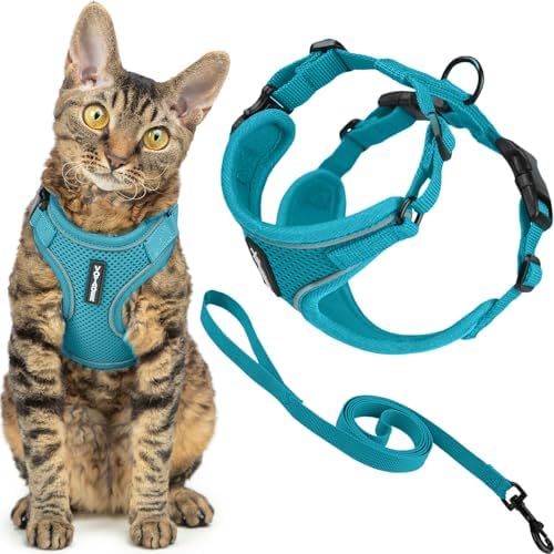 Voyager Escape-Proof Step-in Cat Harness & Leash