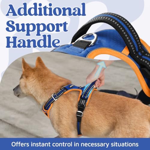 rabbitgoo Dog Harness Small Sized, No Pull 3 Buckles Easy On & Off
