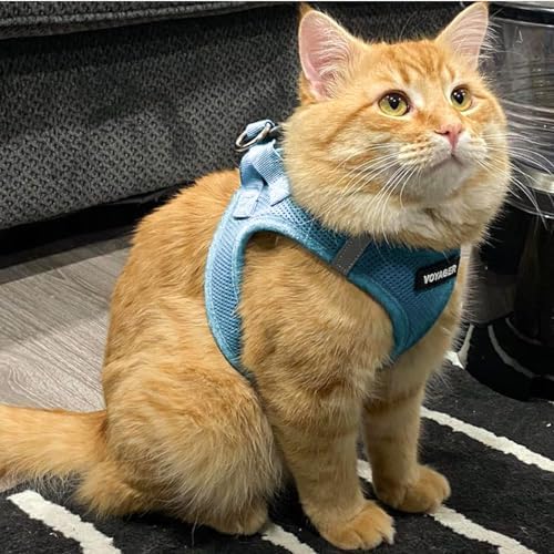 Voyager Step-in Air Cat Harness & Leash Set