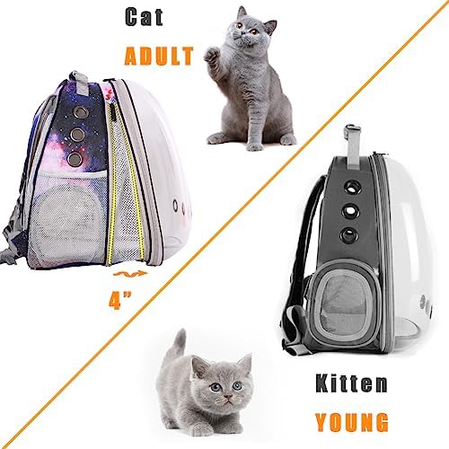 Front Expandable Cat Backpack Carrier, Fit up to 20 lbs, Printed Artwork
