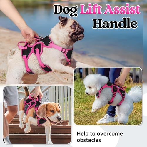 rabbitgoo Escape Proof Dog Harness