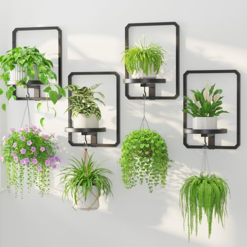 LASZOLA Plant Picture Frame Holder Shelf Wall Window Indoor