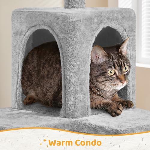 Yaheetech 54in Cat Tree, Light Gray