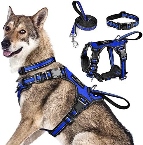WINSEE All-in-One Reflective Dog Harness, Collar & Leash Set, No Pull