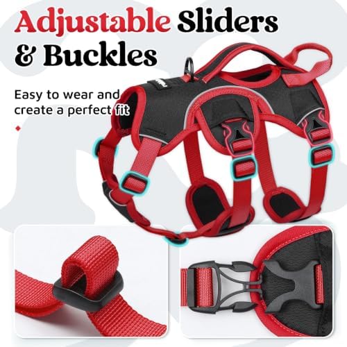 rabbitgoo Escape Proof Dog Harness