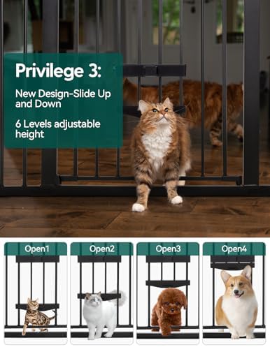 Babelio 36" Tall Dog Gate with Cat Door, CatPrivilege II