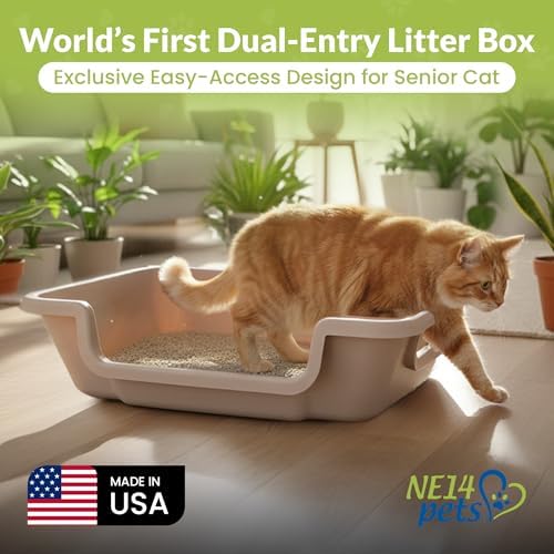 KittyGoHere 2.0 Easy-Entry Cat Litter Box – Large Open-Top Low Entrance Litter