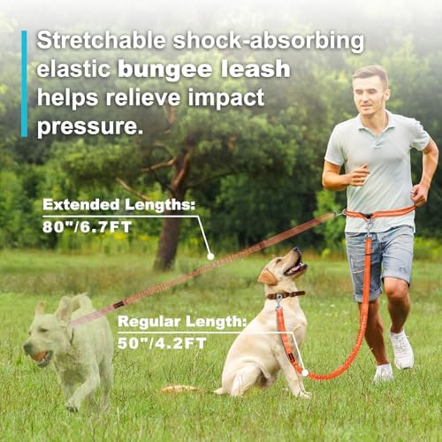 Laqibak Hands Free Dog Leash, Adjustable Waist Leash