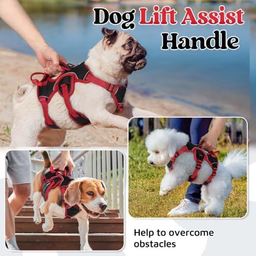 rabbitgoo Escape Proof Dog Harness