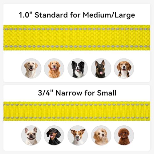 Joytale Reflective Dog Leash for Medium & Large Dogs, 5 FT x 1"