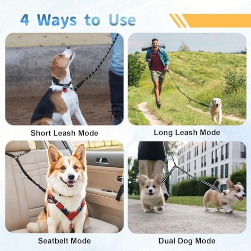 Double Dogs Leash