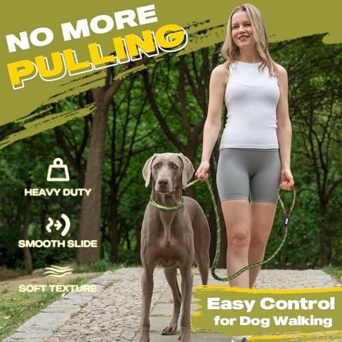 Fida Durable Slip Lead Dog Leash, 6 FT x 1/2" Dog Training Leash