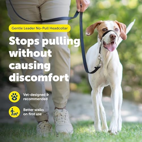 PetSafe Gentle Leader No Pull Dog Headcollar, Deep Purple