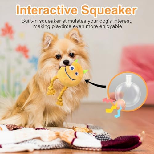 lilfrd 2 Pack Squeaky Rope Plush Dog Toys