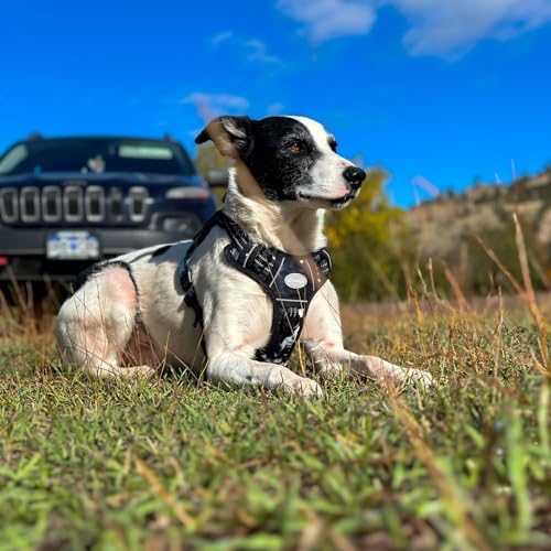 AUROTH Tactical Dog Harness Medium Sized Dog No Pull Adjustable Dog Vest