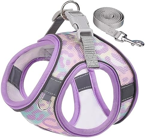 Step in Mesh Dog Harness and Leash Set