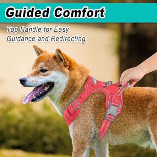 BARKBAY Dog Harness for Large Dog No Pull Mesh 2 Clips Dog Vest