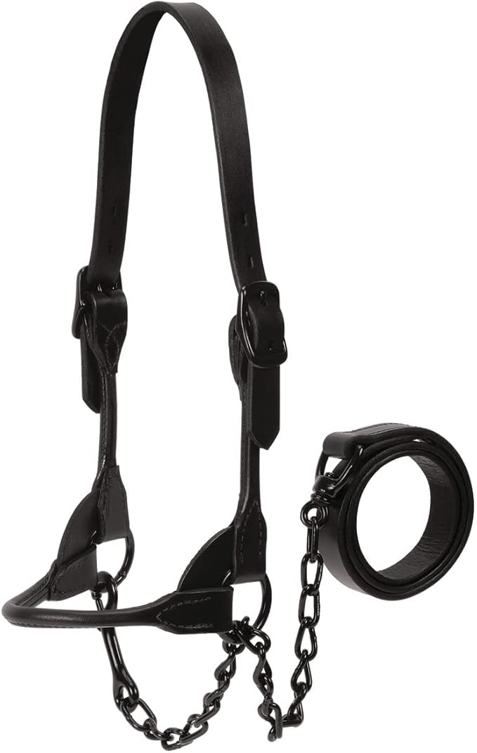 Weaver Livestock Leather Magic Show Cattle Halter, Adjustable, Modern Style Cow Calf Halter, Livestock Handling Equipment for Showing, Black
