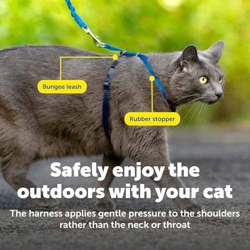 PetSafe Come with Me Kitty Harness and Bungee Cat Leash, Royal Blue