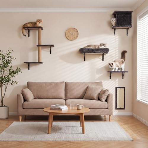 5-in-1 Cat Wall Shelves for Large Cats, Floating Climber