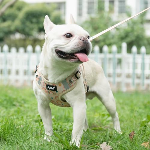 PUPTECK Dog Harness and Leash Set Medium Sized, Step in No Pull Adjustable