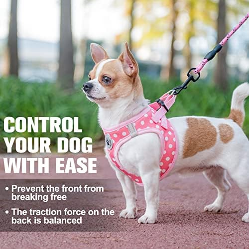 BEAUTYZOO Step in Dog Harness and Leash Set, Polka Dot Pattern Reflective Dog
