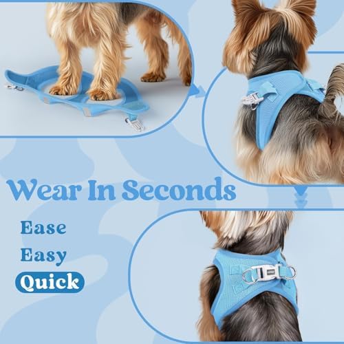 rabbitgoo Step-in Small Dog Harness, Puppy Vest