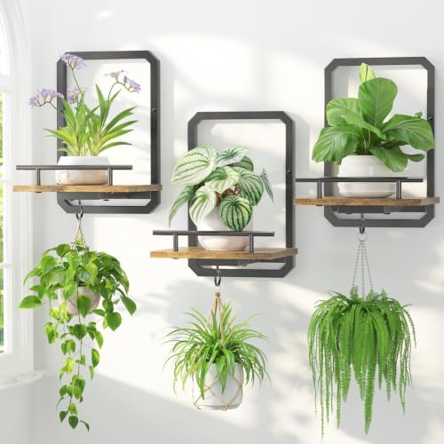 LASZOLA Plant Picture Frame Holder Shelf Wall Window Indoor