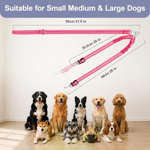 Double Dog Leash Padded Handle 360°Swivel No Tangle Dual Leash