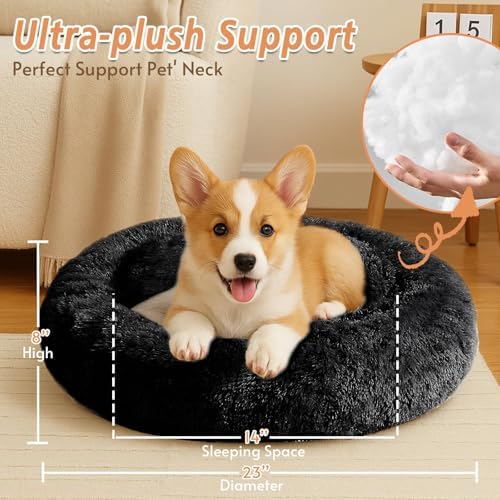 JOLLYVOGUE Calming Dog Bed for Small Dogs