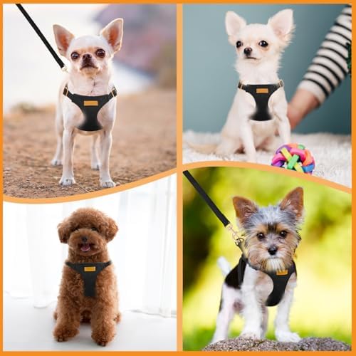 SlowTon No Pull Dog Harness