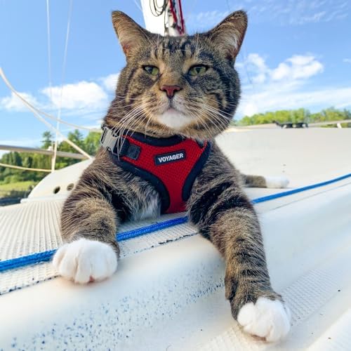 Voyager Step-in Lock Cat Harness & Leash Set