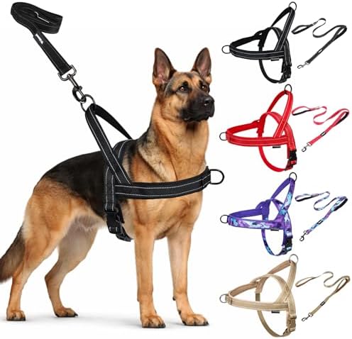 No Pull Dog Harness & 5FT Leash Set