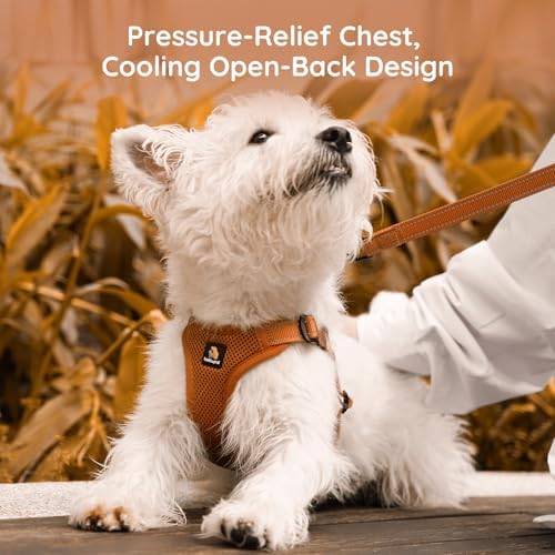 BELLA & PAL Adjustable Step-in Dog Harness, Puppy No-Pull Vest