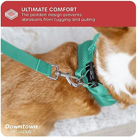 Downtown Pet Supply Step in Dog Harness