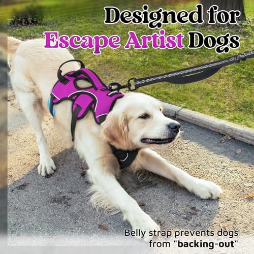 rabbitgoo Escape Proof Dog Harness