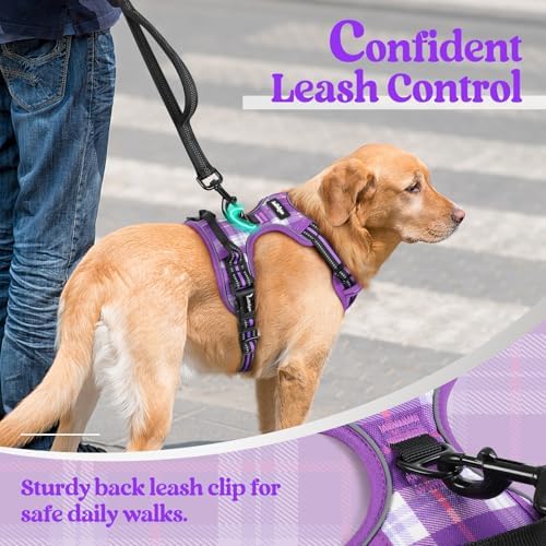 rabbitgoo Dog Harness, No Pull Medium Sized