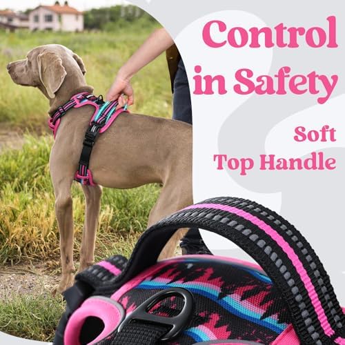 rabbitgoo Dog Harness Small Sized, Updated Easy On & Off
