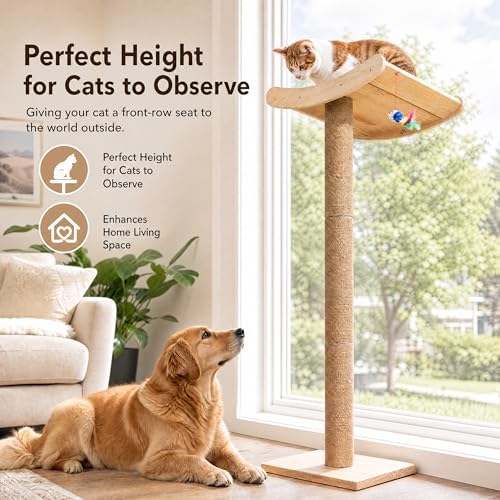 Cat Window Perch with Scratching Posts, 46-Inch Wooden Tree