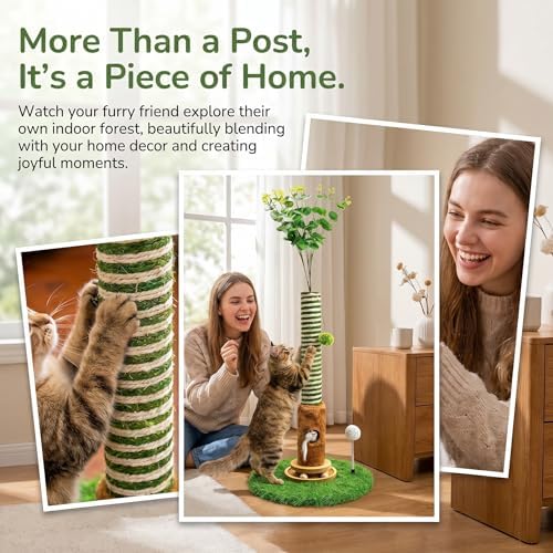 Cat Scratching Post 39'' Tall