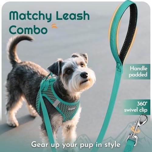 Eagloo Small Dog Harness and Leash Set, Step in Medium Small Puppy Pet Vest