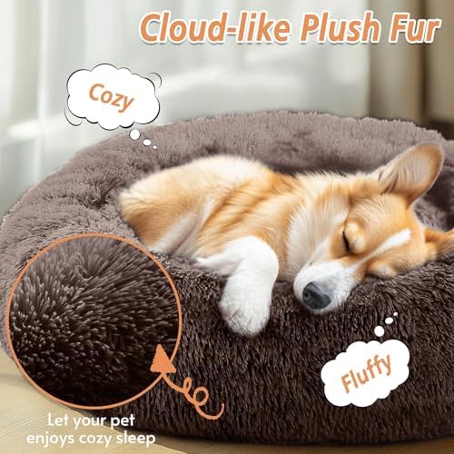 JOLLYVOGUE Calming Small Dog & Cat Bed